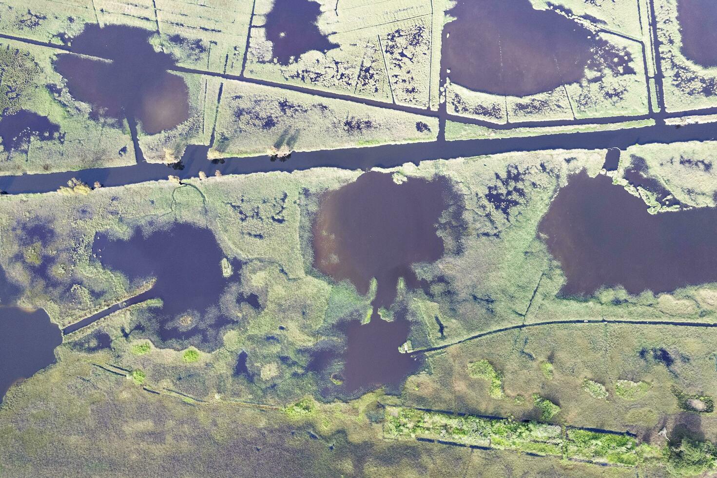 aereo Visualizza di il paludoso la zona di lago massaciuccoli foto