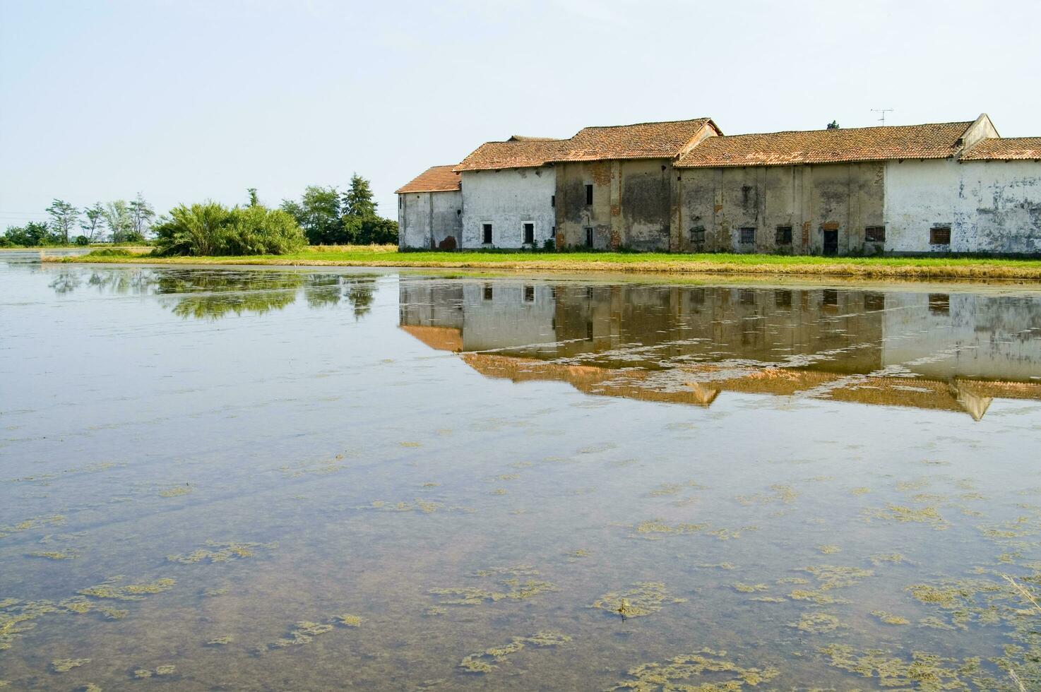 antico aziende agricole nel il riso i campi nel vercelli Italia foto