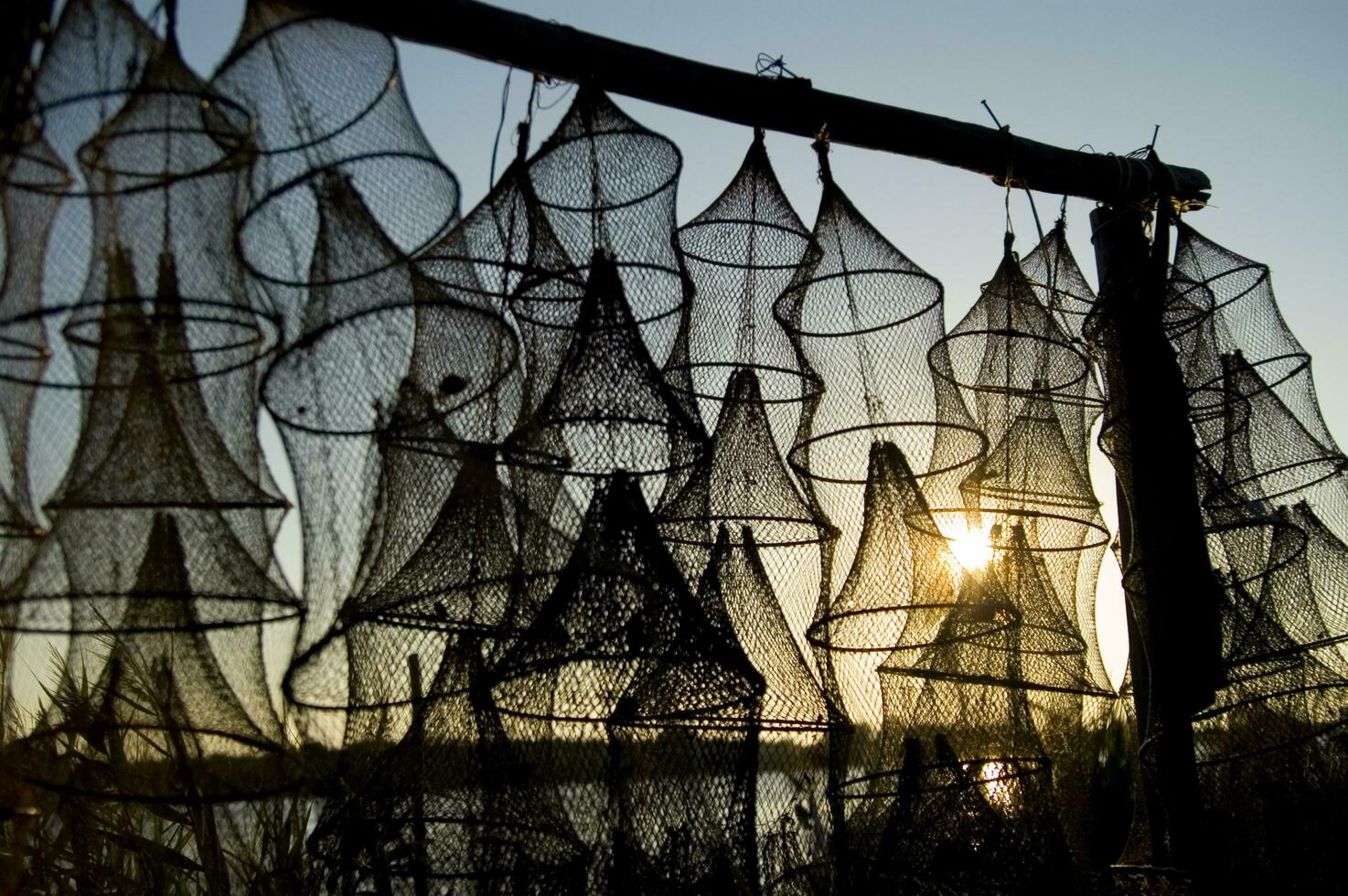 un' gruppo di pesca reti nel il sole foto