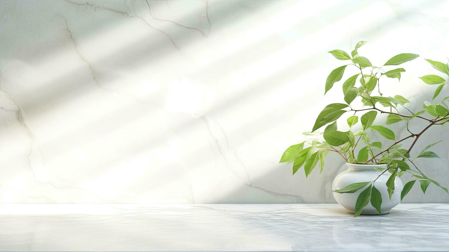 illuminata dal sole ramo con verde le foglie getto ombra su bianca marmo piastrella parete legna tavolo copia spazio foto