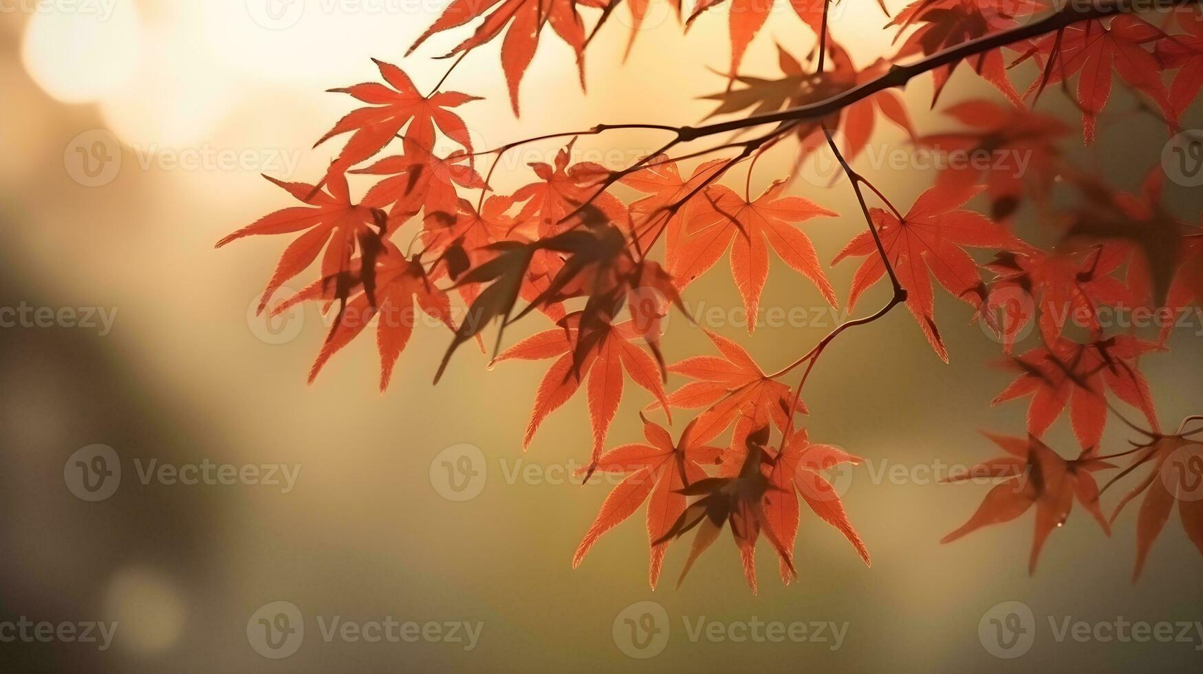 rosso giapponese acero le foglie ramo nel un' albero con copia spazio per sfondo e fondali. ai generato foto