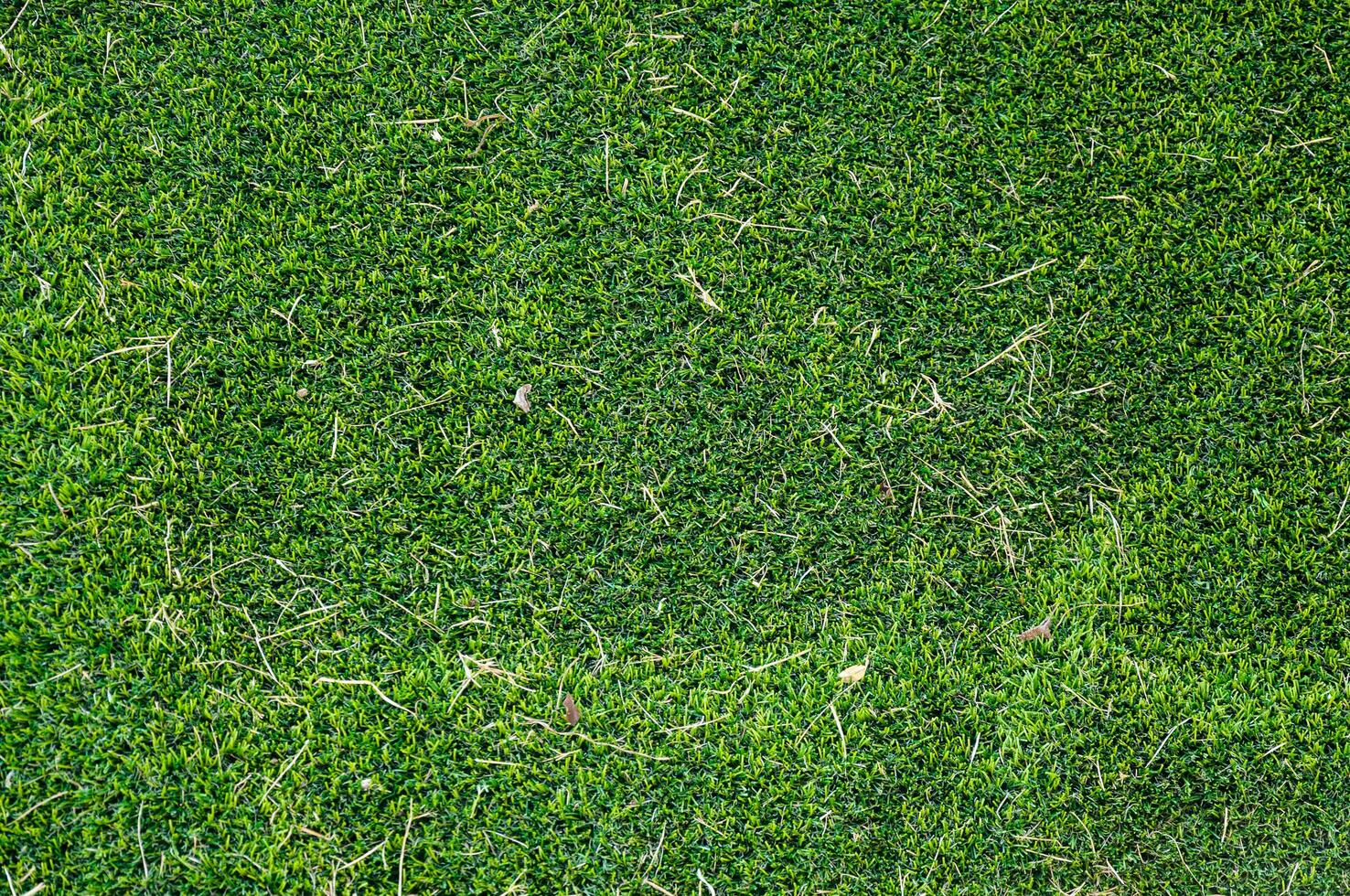 artificiale verde erba e asciutto erba per sfondo foto