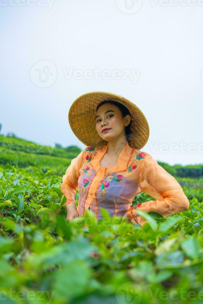 un' giavanese donna è guardare dopo sua tè giardino quando lei indossa un arancia vestito foto