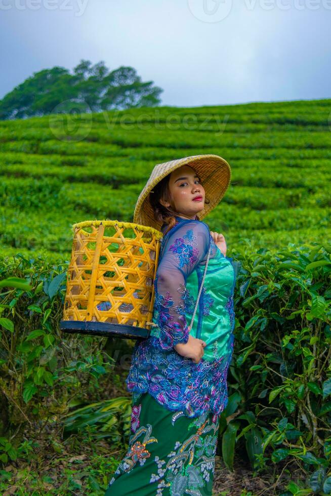 un asiatico adolescente è apprendimento per trasportare un' bambù cestino mentre nel il mezzo di un' tè giardino foto