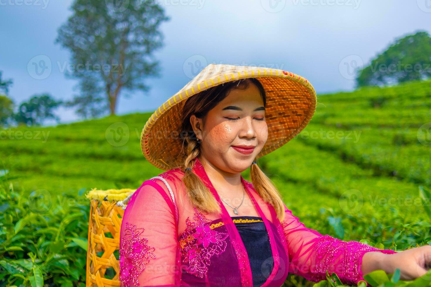 un' donna nel un' tradizionale rosa vestito è raccolta tè le foglie molto allegramente foto