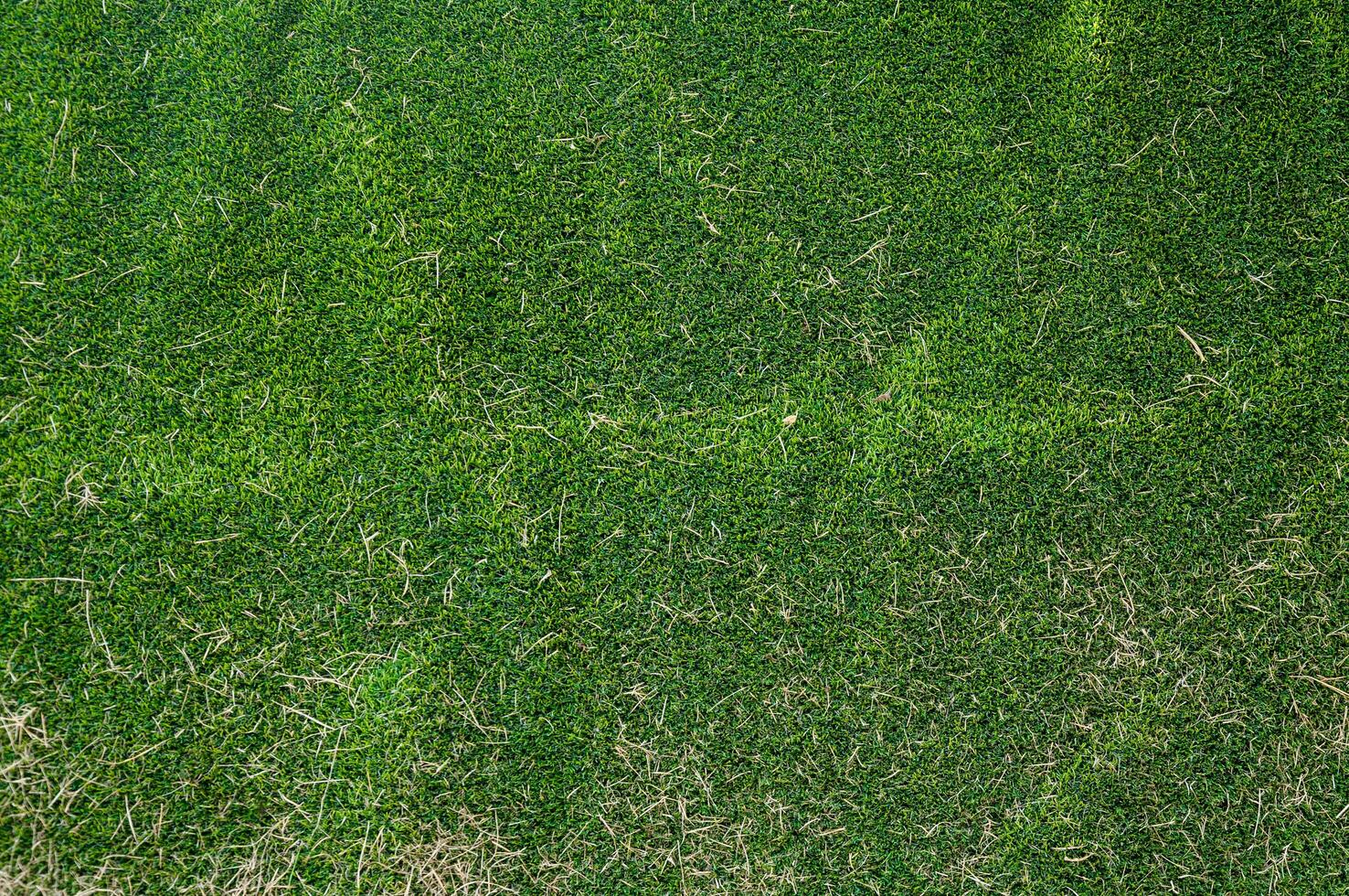 artificiale verde erba e asciutto erba per sfondo foto