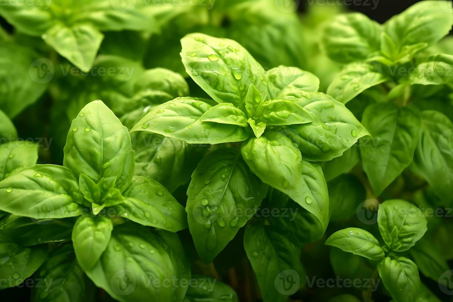 vicino tiro di fresco lotto di basilico. un importante condimento per italiano cucina. ai generato. foto