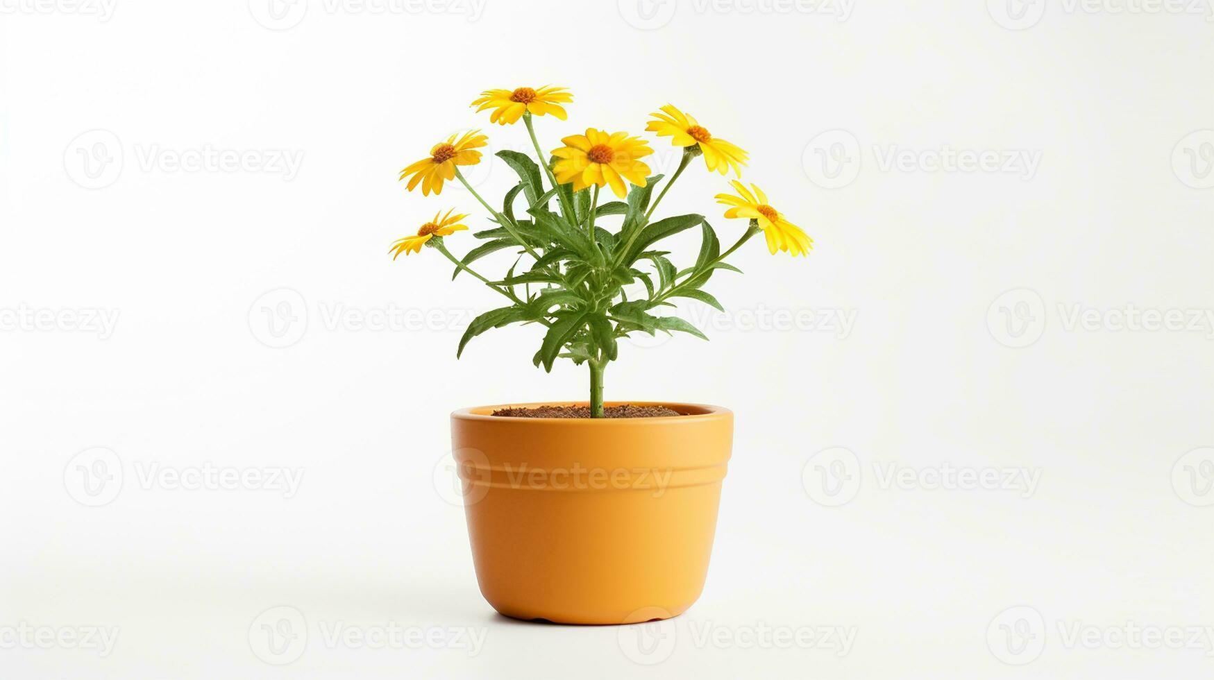 foto di Helenium autumnale fiore nel pentola isolato su bianca sfondo. generativo ai