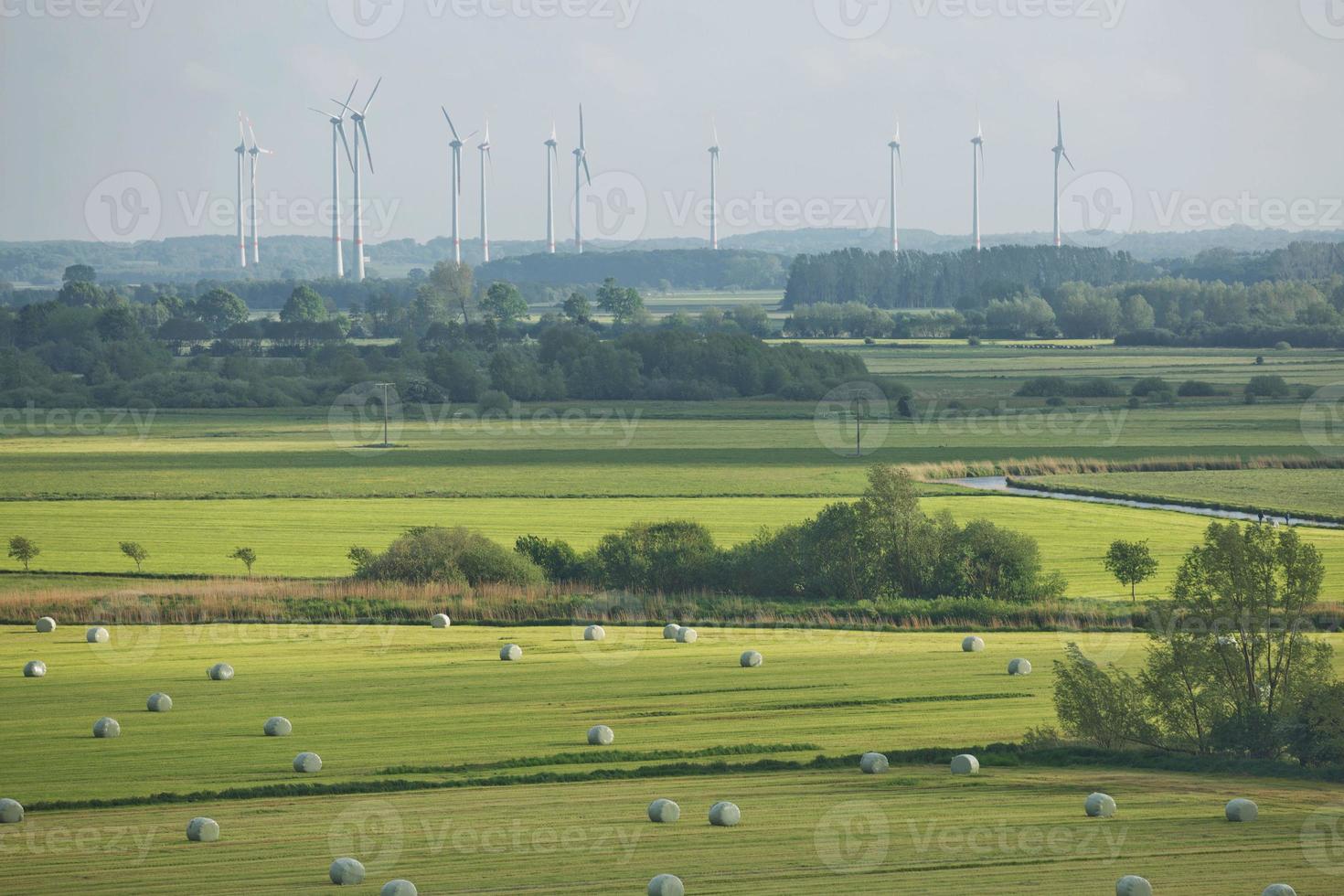 bellissimo paesaggio di campagna vicino a Kiel, Schleswig Holstein, Germania foto