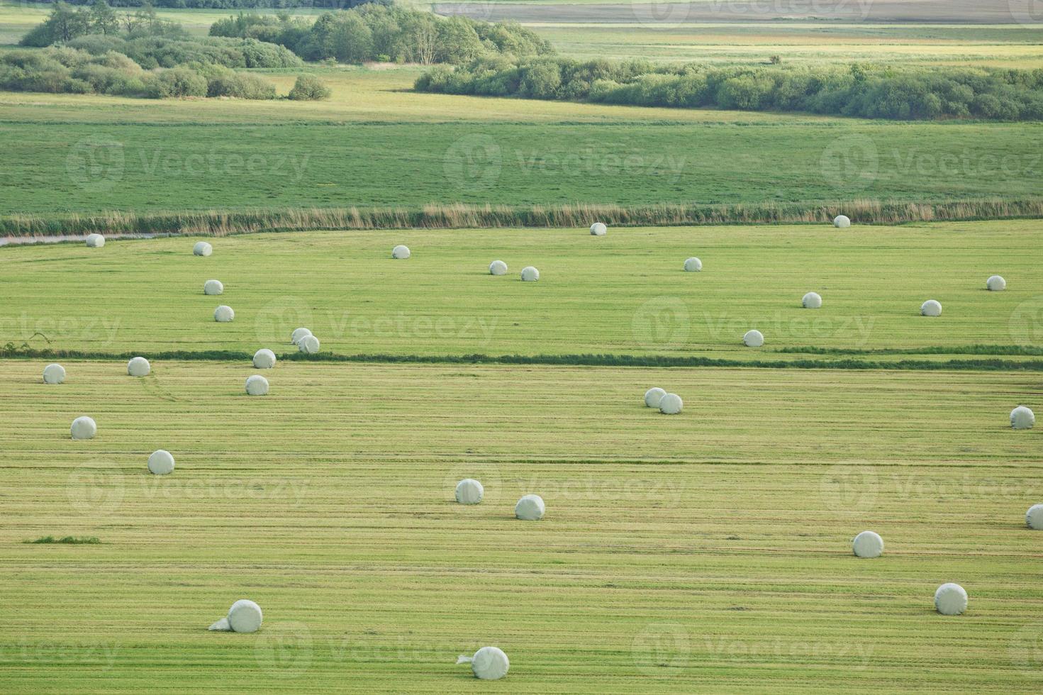 bellissima campagna e raggi di sole vicino a Kiel, Schleswig Holstein, Germania foto