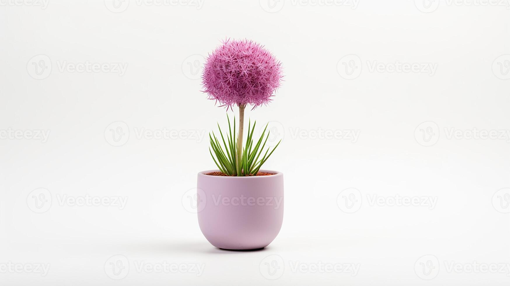 foto di fioritura cipolla fiore nel pentola isolato su bianca sfondo. generativo ai