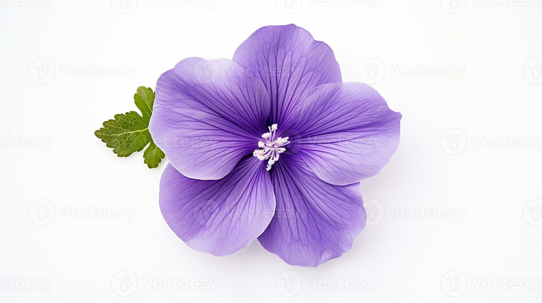 foto di bellissimo viola fiore isolato su bianca sfondo. generativo ai