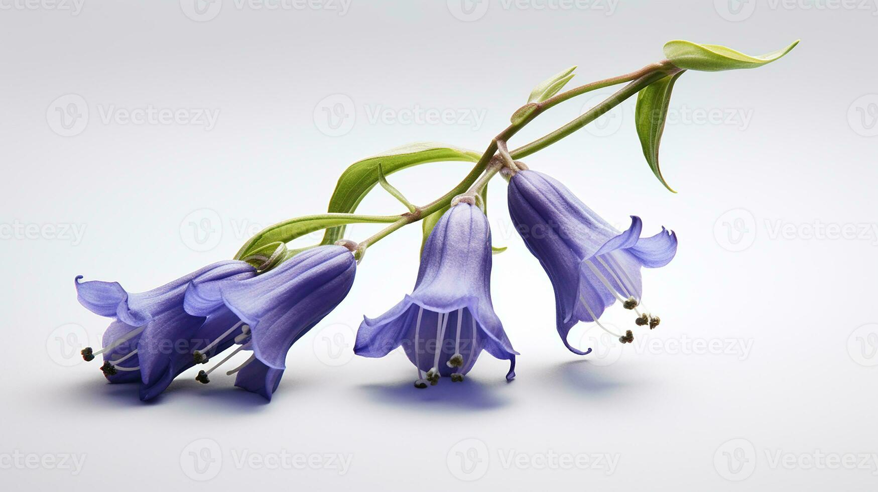 foto di bellissimo Virginia campanula fiore isolato su bianca sfondo. generativo ai