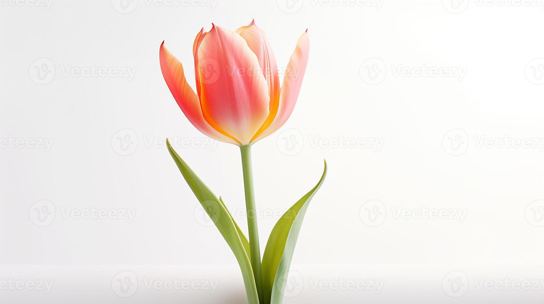 foto di bellissimo tulipano fiore isolato su bianca sfondo. generativo ai