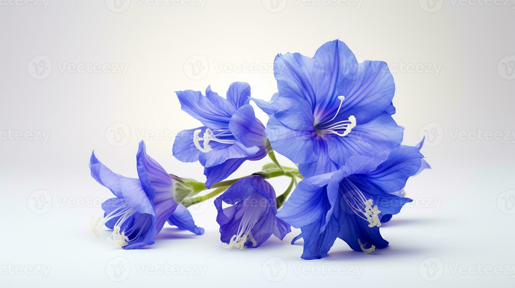 foto di bellissimo larkspur fiore isolato su bianca sfondo. generativo ai