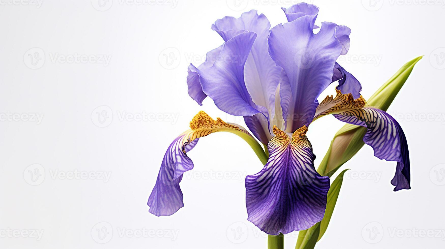 foto di bellissimo iris fiore isolato su bianca sfondo. generativo ai