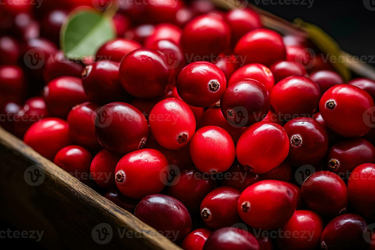 maturo biologico mirtilli nel autunno vassoio mercato agricoltura azienda agricola sfondo superiore Visualizza foto