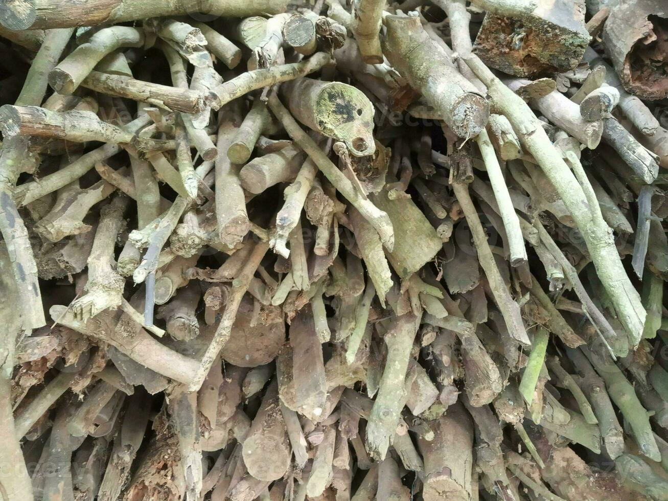 sfondo mucchio di asciutto legna ramoscelli, Usato come tradizionale carburante per cucinando cibo. foto