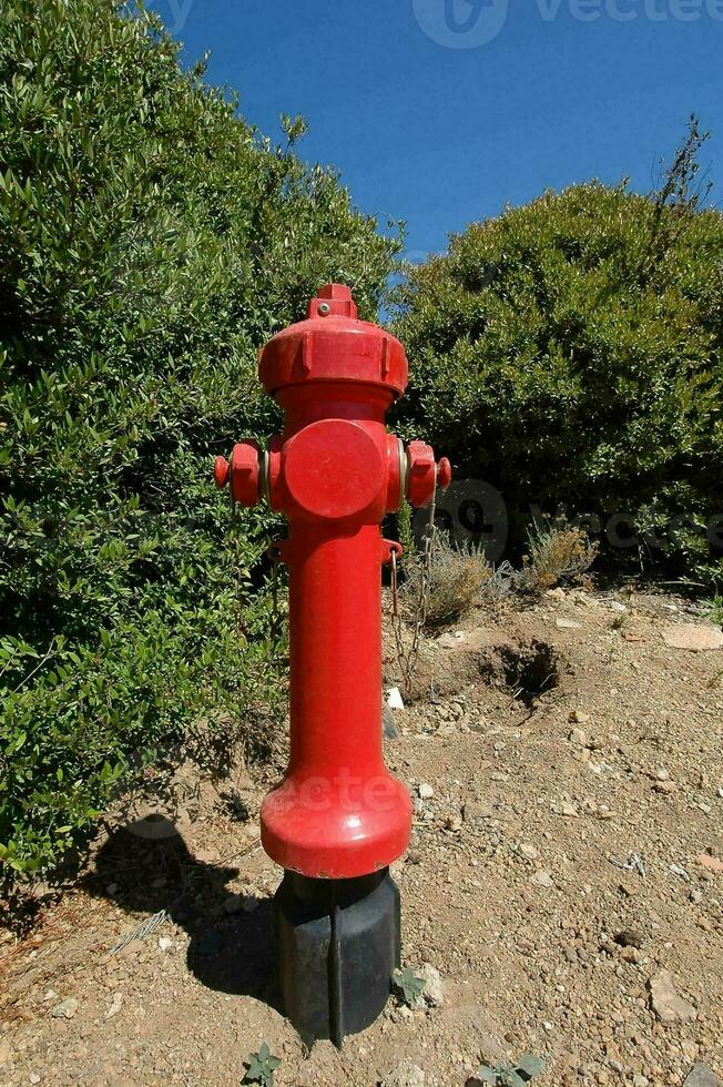 un' rosso fuoco idrante nel il mezzo di un' sporco strada foto