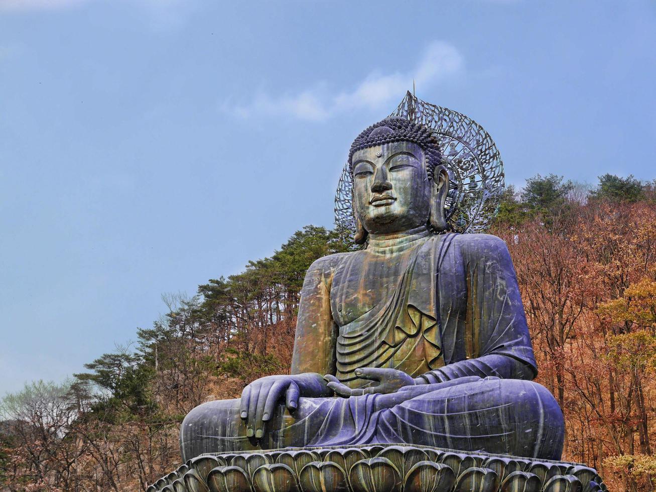 grande statua del buddha al parco nazionale di seoraksan. sokcho, corea del sud foto