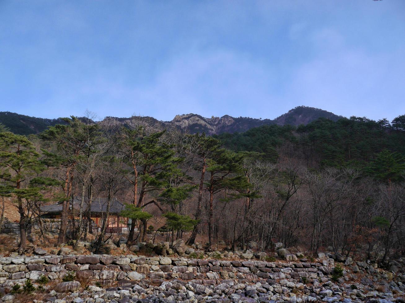 foresta di montagna in Corea del sud. parco nazionale di seoraksan foto