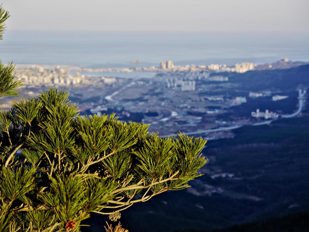 vista da una vetta delle montagne seoraksan, corea del sud foto
