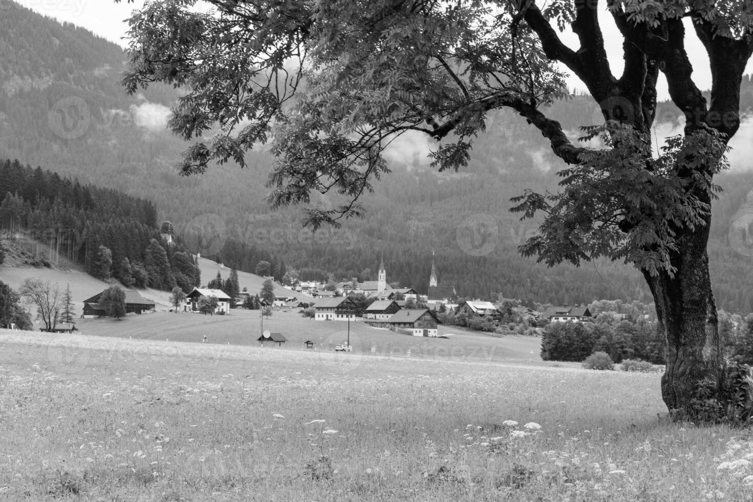 estate tempo nel Austria foto