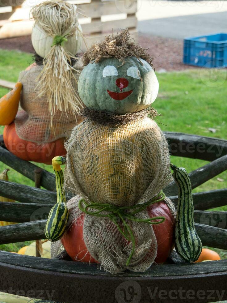 zucche nel il giardino foto