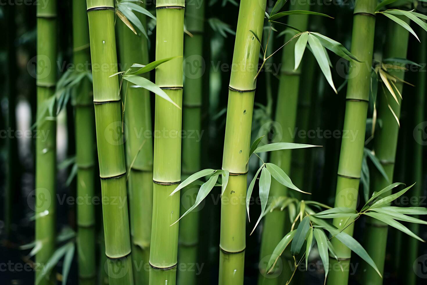 avvicinamento tiro di verde bambù alberi. orientale vibrazioni. ai generato foto
