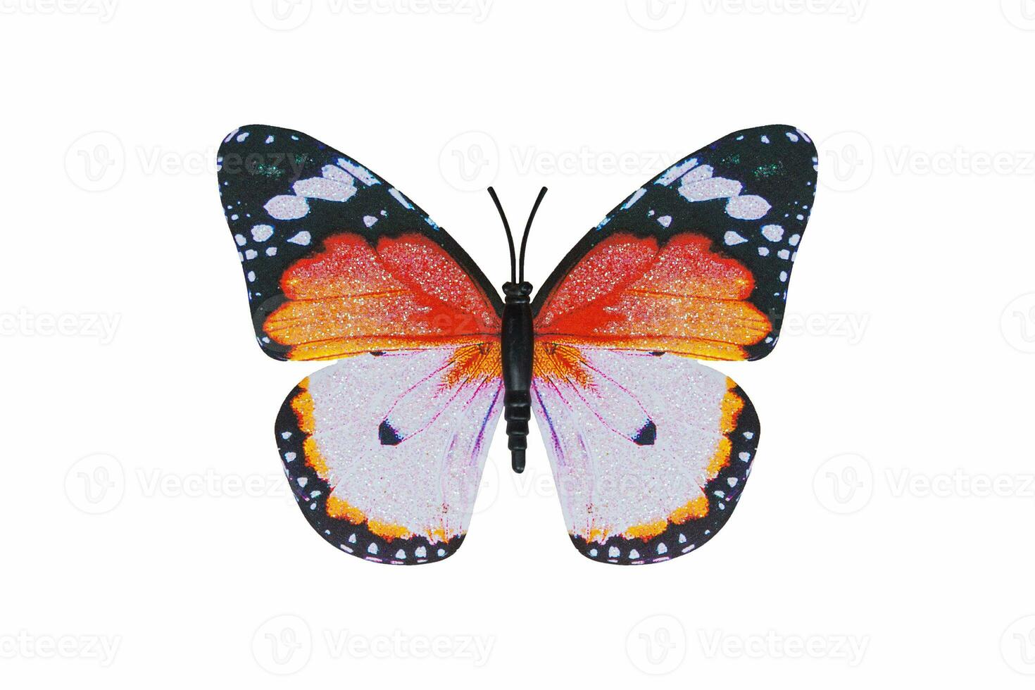 farfalla arancia colore isolato bianca sfondo. foto
