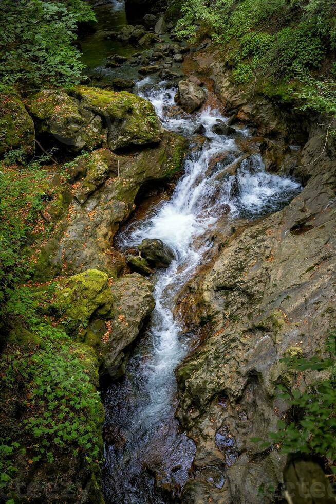 montagna escursioni a piedi Paradiso paesaggio, foresta torrente foto