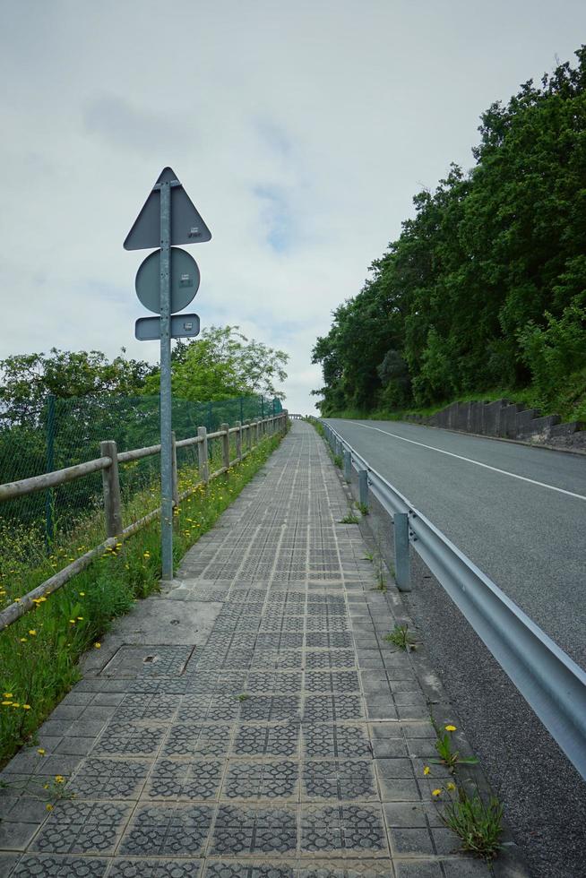 strada con vegetazione verde nella foresta foto