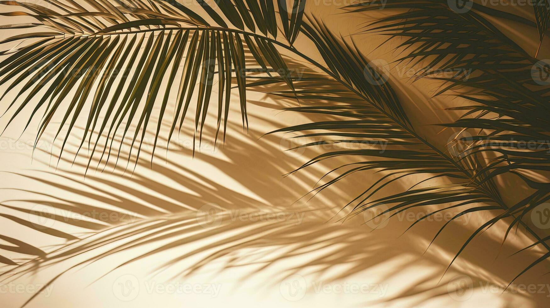 palma albero le foglie getto ombre su eco amichevole cartone. silhouette concetto foto