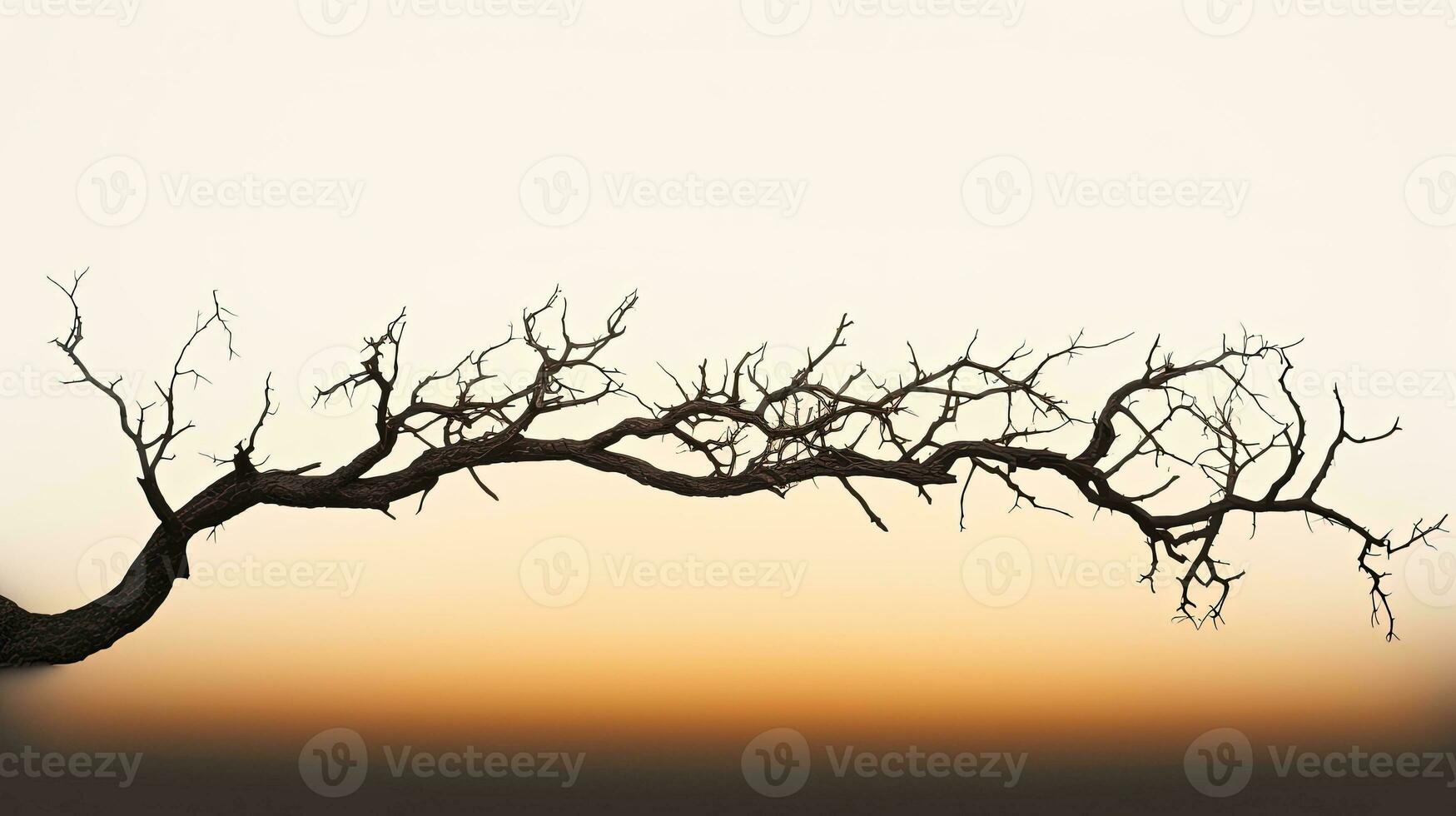 Calvo albero arto. silhouette concetto foto