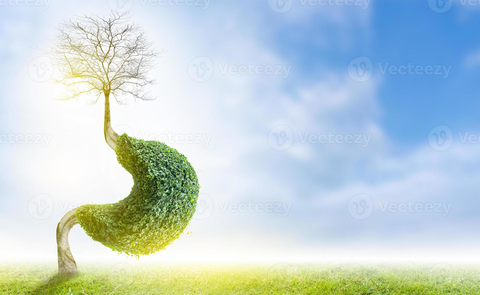 l'albero .stomaco. è un'illustrazione 3d del concetto ambientale medico. foto