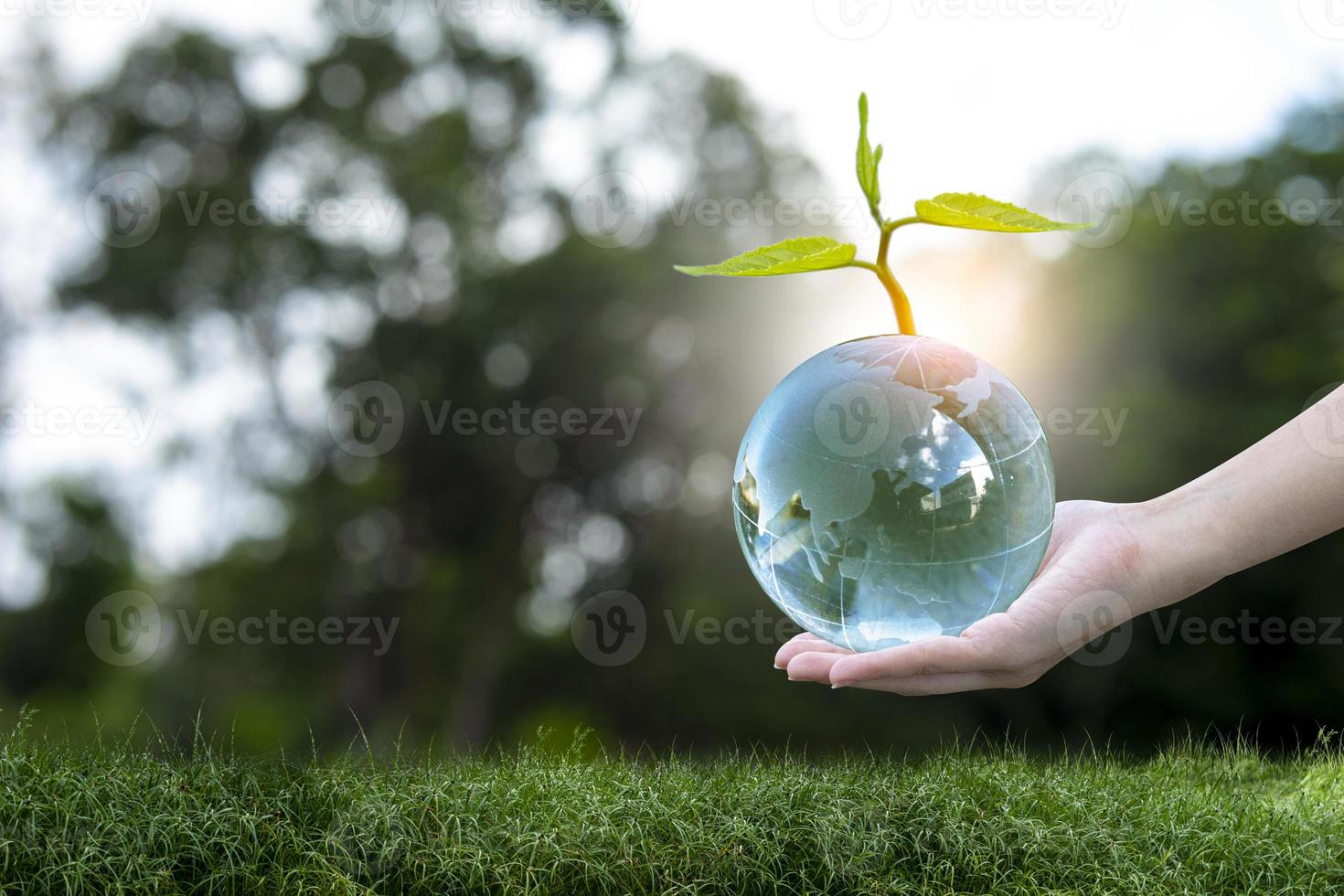 illustrazione 3d concetto di energia rinnovabile giornata della terra o protezione ambientale proteggere le foreste che crescono sul terreno e aiutare a salvare il pianeta. foto