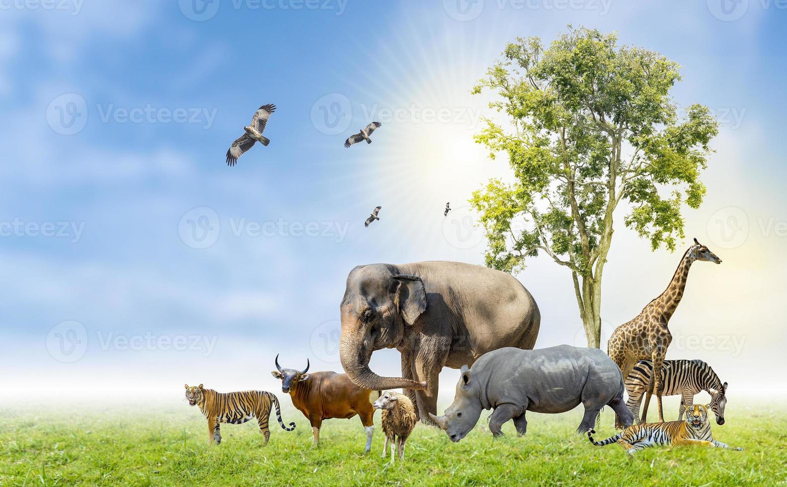 giorno di conservazione della fauna selvatica animali selvatici a casa. o protezione della fauna selvatica foto