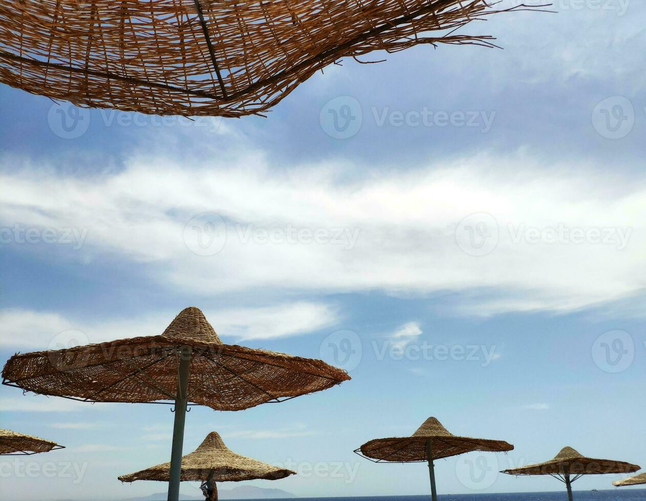 solare ombrelli su il spiaggia foto