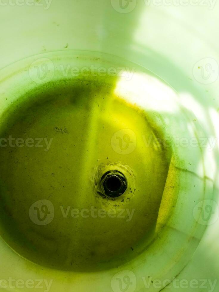 verde acqua fioriture nel il sole. piccolo verde microrganismi moltiplicare rapidamente nel il sole nel un' contenitore di acqua. foto