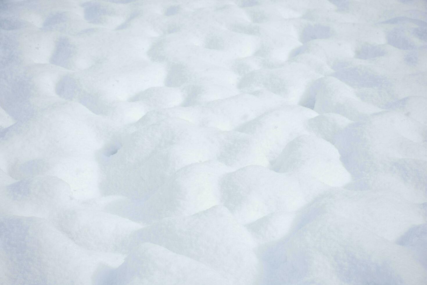 sfondo di fresco neve struttura. foto