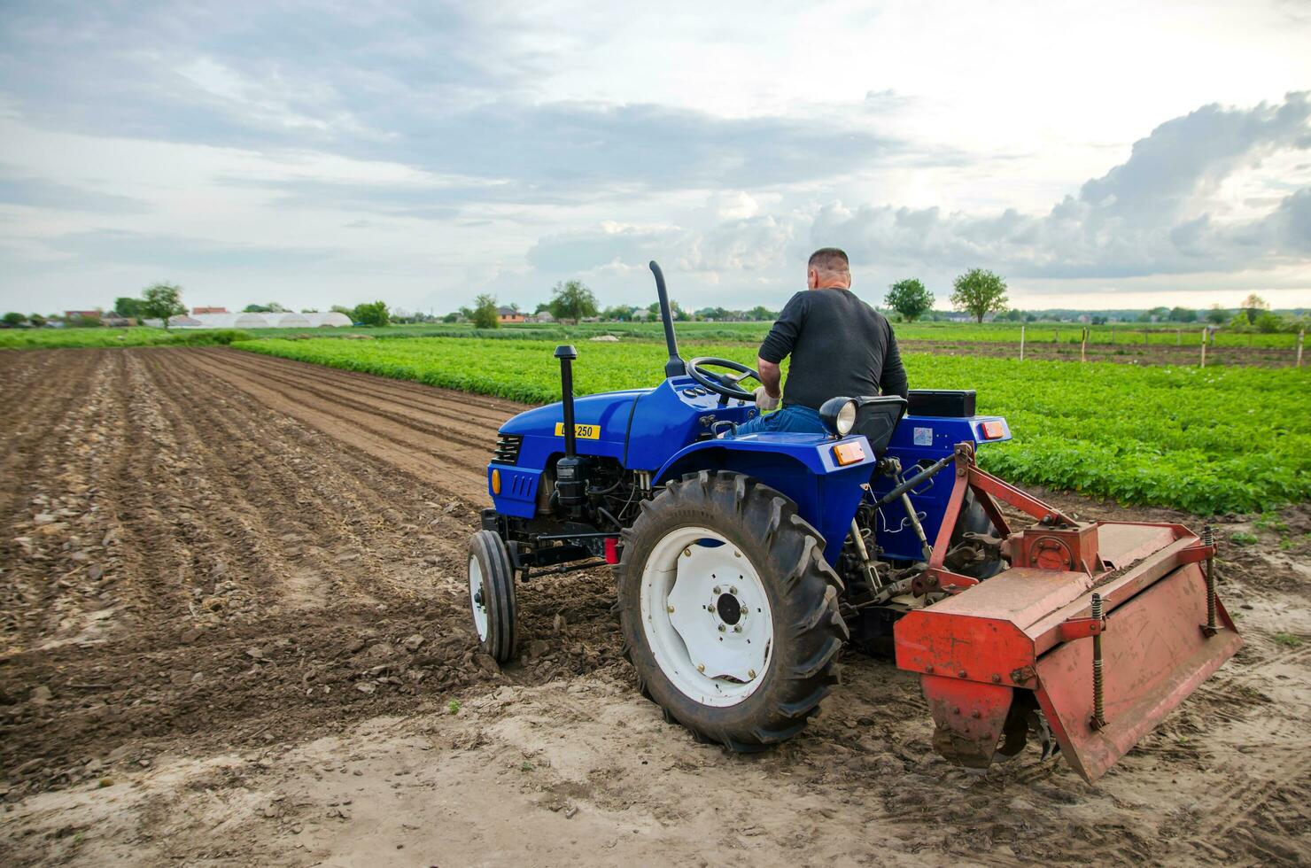 Cherson oblast, Ucraina - Maggio 29, 2021 un' contadino su un' trattore cancella il campo. fresatura suolo, allentamento terra prima taglio righe. preparazione di terra per futuro piantare nuovo Ritaglia. foto