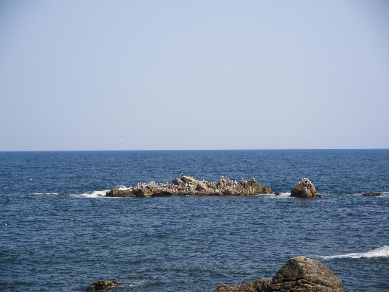 la vista sul mare dal tempio naksansa, corea del sud foto