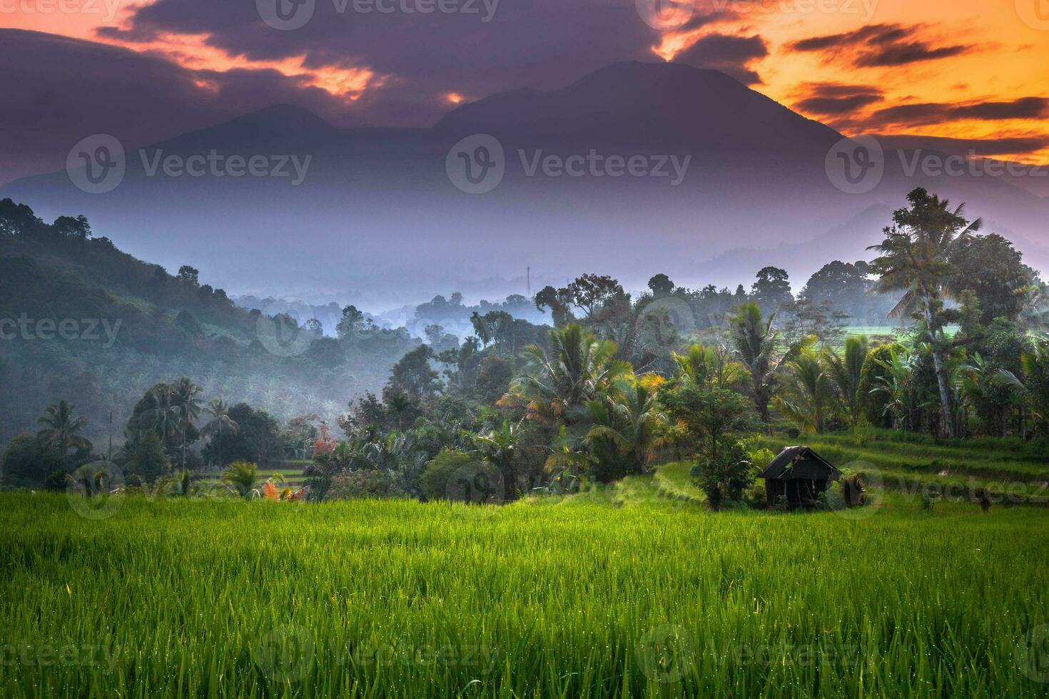 bellissimo mattina Visualizza Indonesia panorama paesaggio risaia i campi con bellezza colore e cielo naturale leggero foto