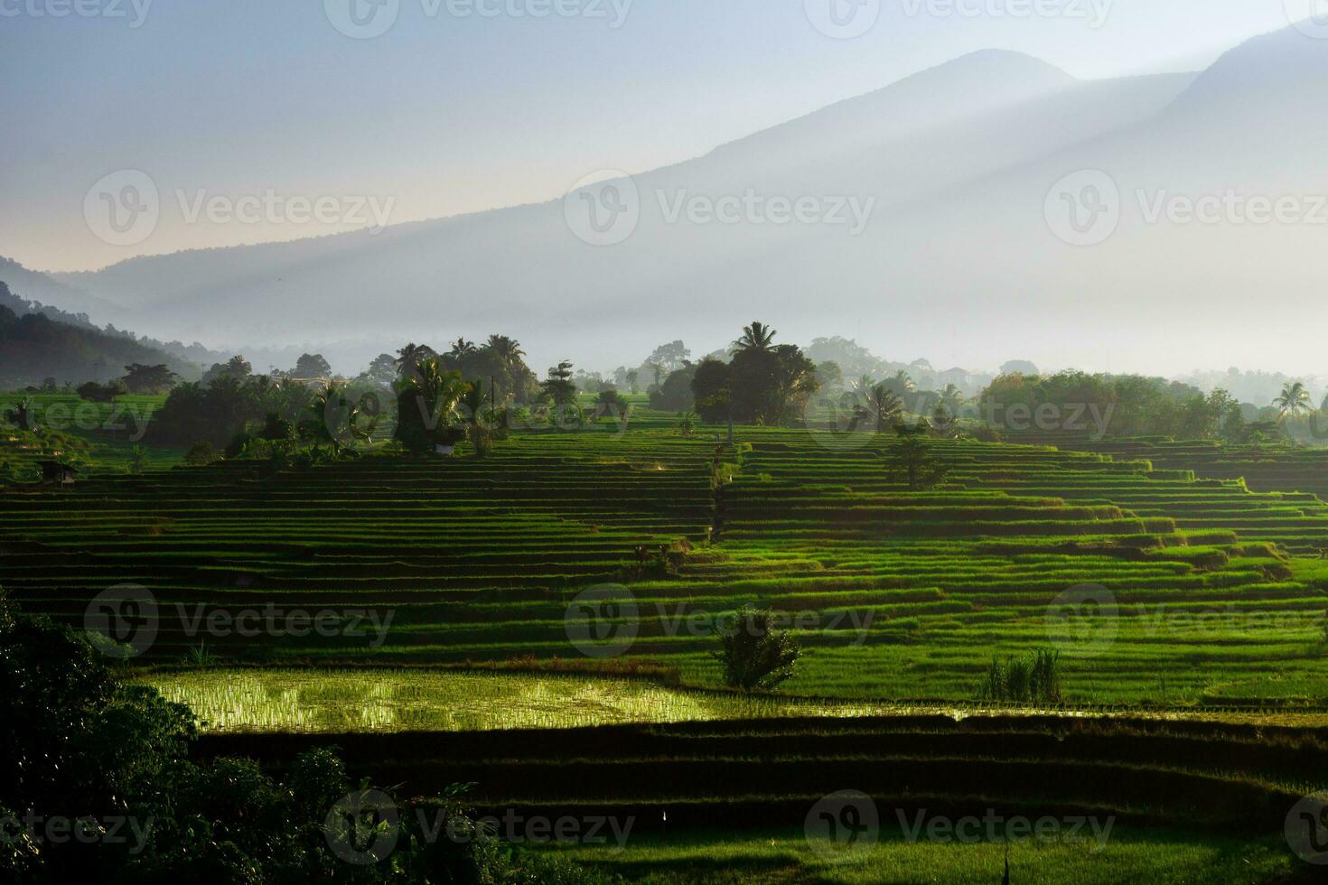 bellissimo mattina Visualizza Indonesia panorama paesaggio risaia i campi con bellezza colore e cielo naturale leggero foto