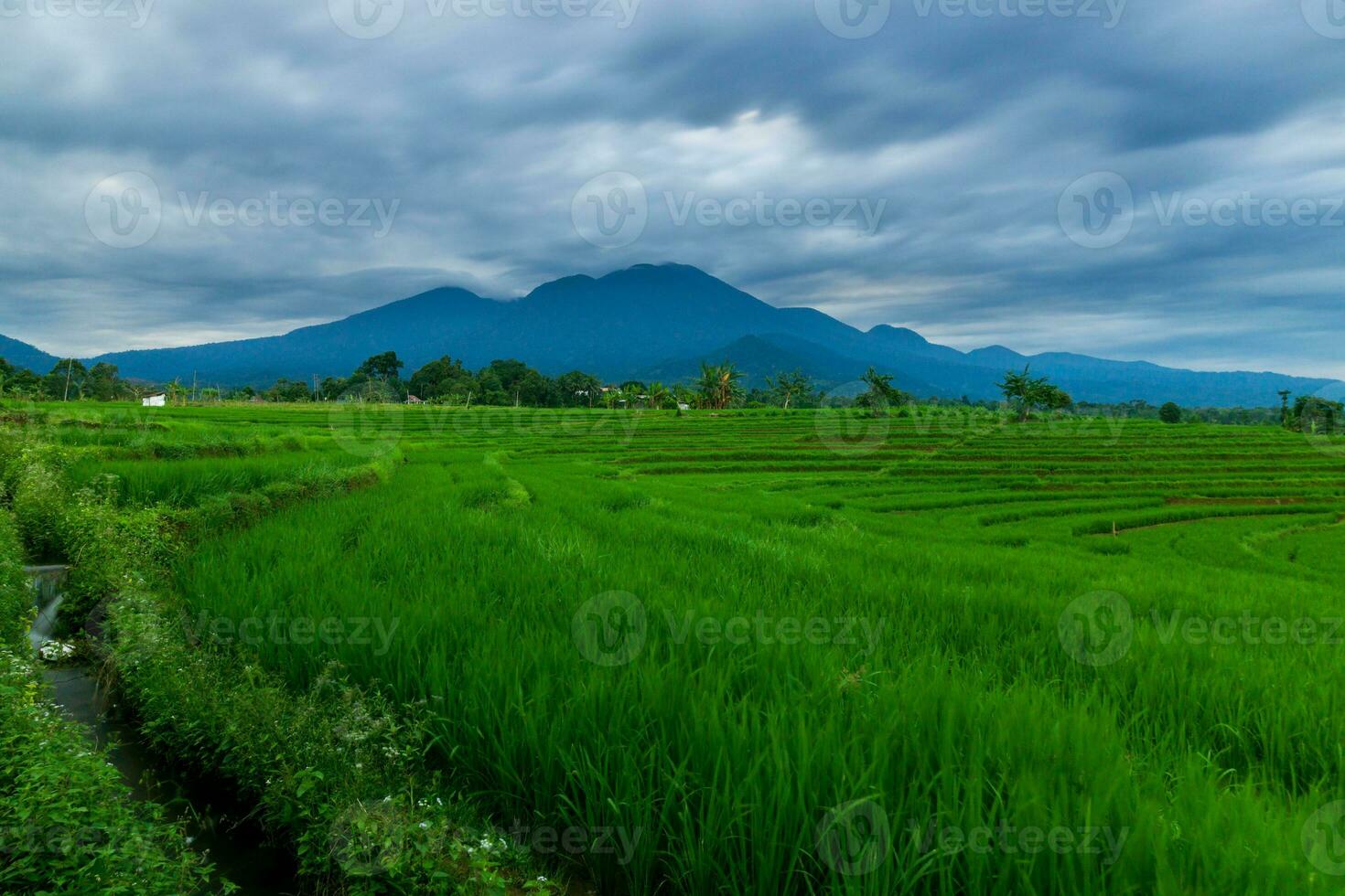 bellissimo mattina Visualizza Indonesia panorama paesaggio risaia i campi con bellezza colore e cielo naturale leggero foto