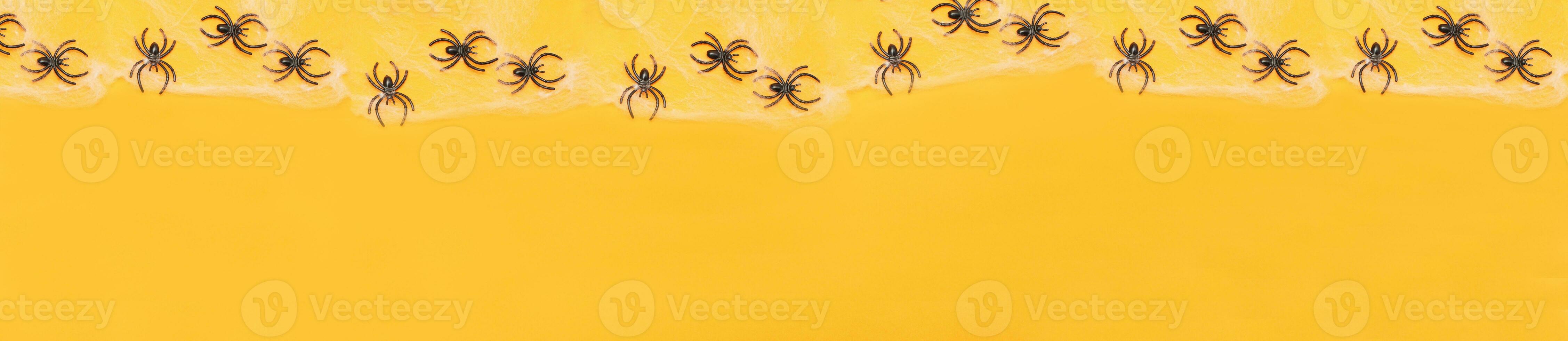 scheletri con zucca, ragno ragnatela e nero ragni su arancia sfondo. Halloween concetto foto