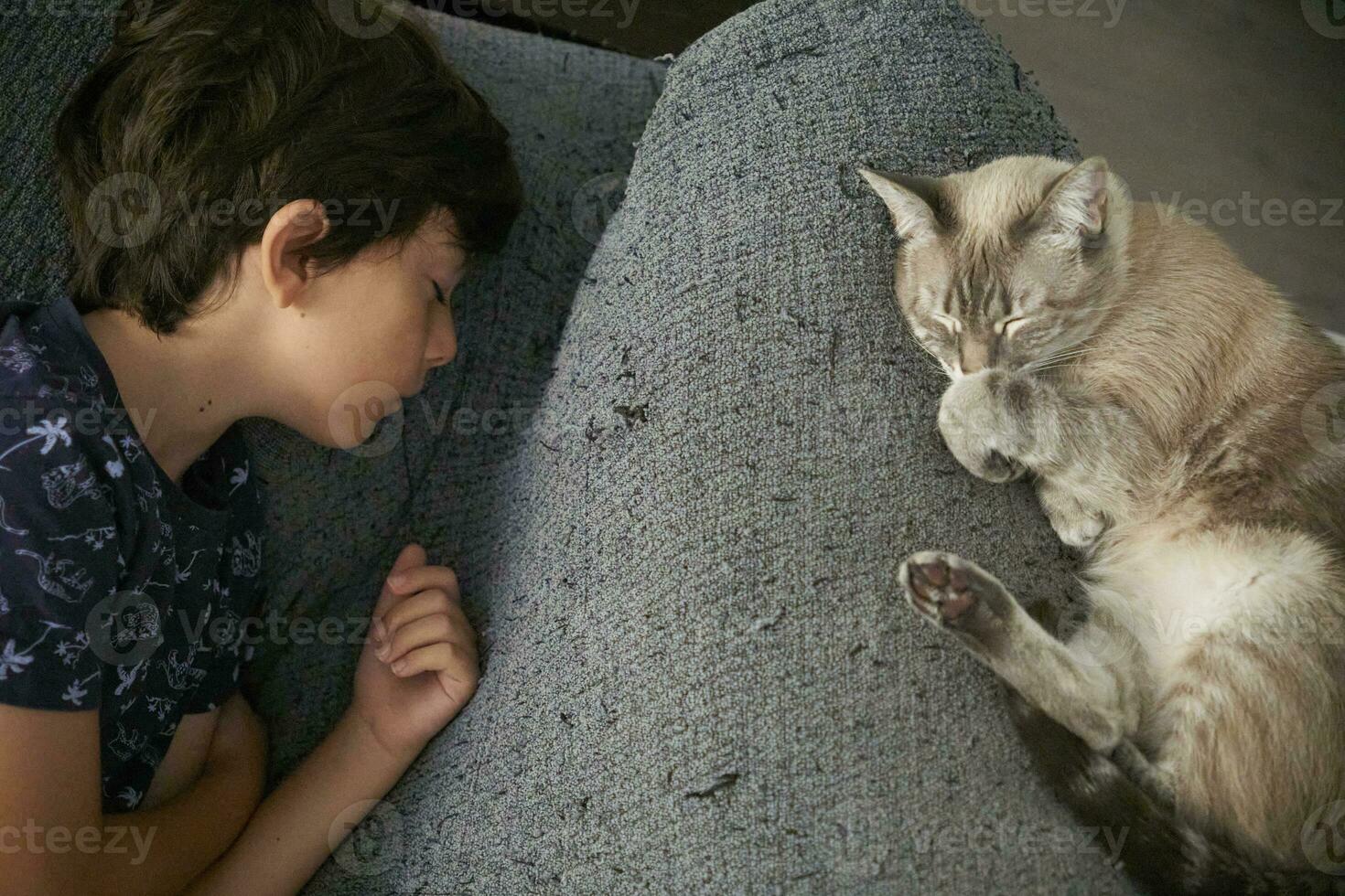 carino ragazzo addormentato su il suo divano con un' gatto foto