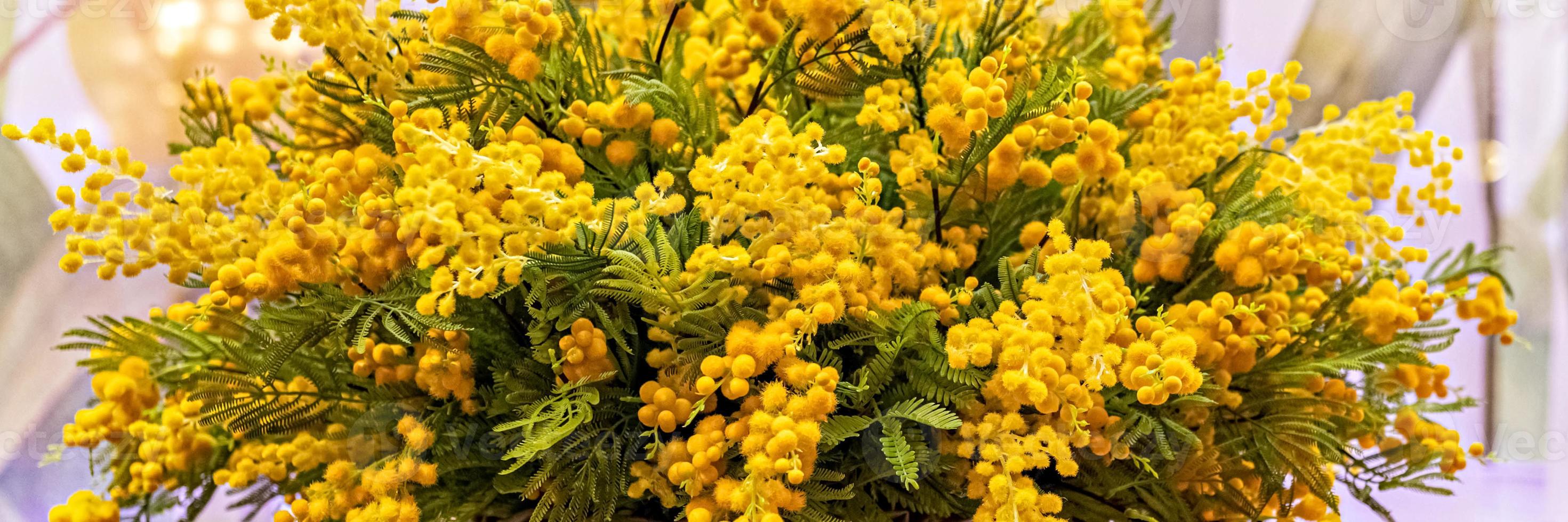 un mazzo di rami gialli fioriti di acacia argentata in un alto cesto di vimini foto