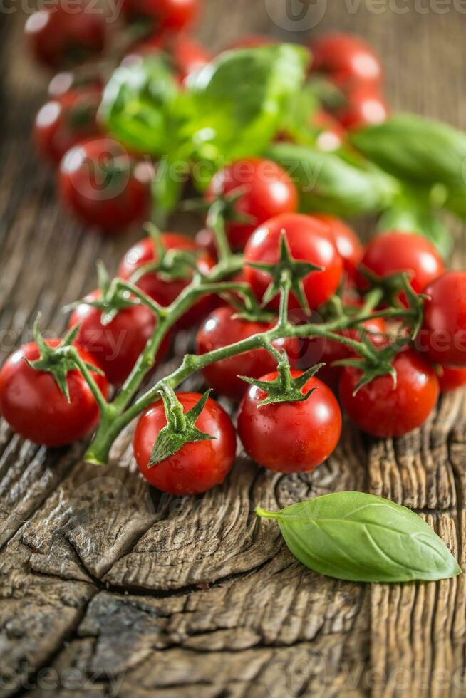 fresco mazzo di maturo pomodori con basilico le foglie su vecchio quercia tavolo foto