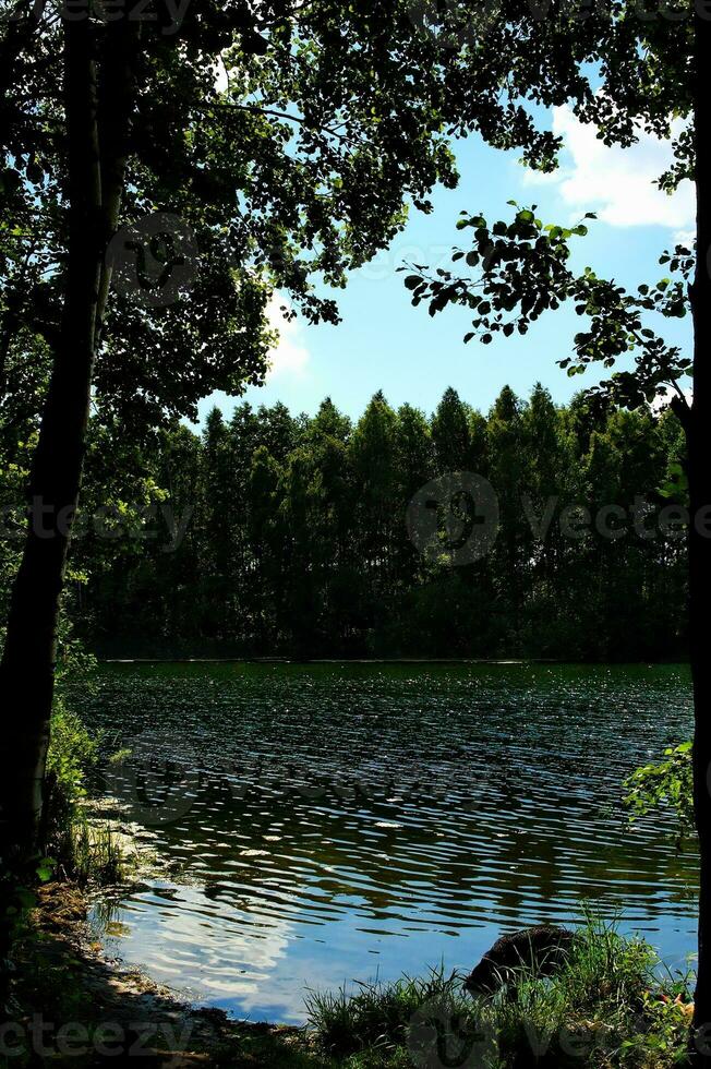 estate idilliaco paesaggio con un' lago sotto un' blu cielo su un' caldo soleggiato giorno foto